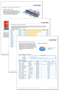 A Sample of Application and Risk Analysis Report
